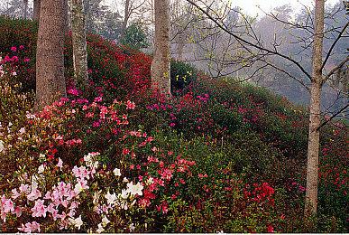 《祇：女神之道》主线时长将超过20个小时